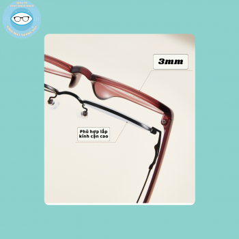 Gọng nhựa nữ lão mã 3524